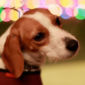 Meet your Posher, Lynn